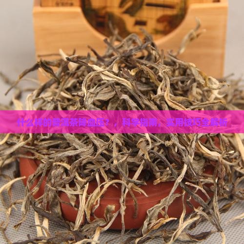 什么样的普洱茶降血压