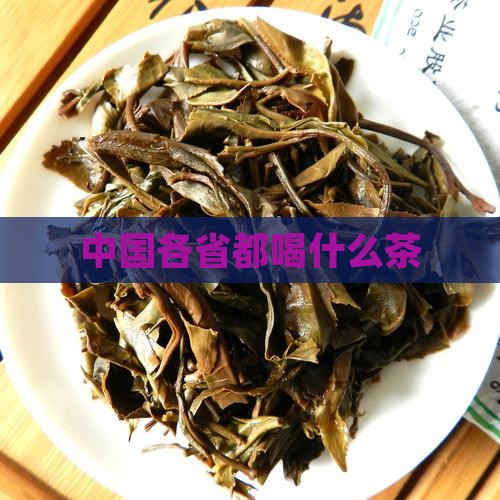 中国各省都喝什么茶