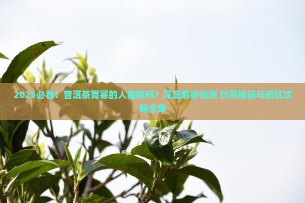 普洱茶胃寒的人能吃吗