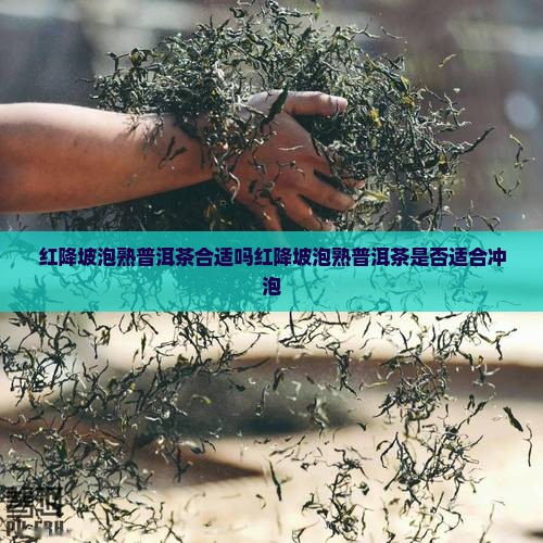 红降坡泡熟普洱茶合适吗