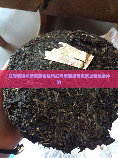 红降坡泡熟普洱茶合适吗