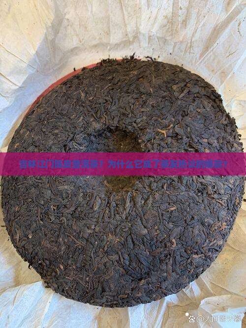 吉林江门陈皮普洱茶