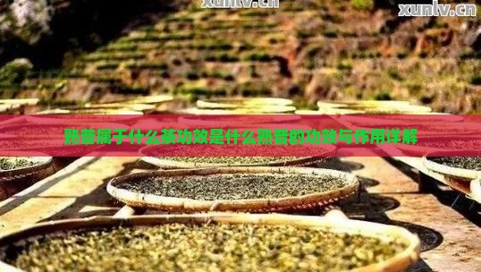 熟普属于什么茶功效是什么