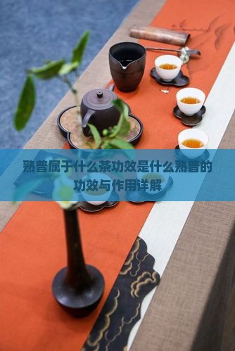 熟普属于什么茶功效是什么
