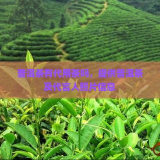 普洱茶有代用茶吗