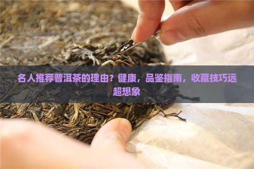 名人推荐普洱茶的理由