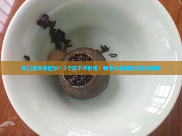 海口普洱茶压饼