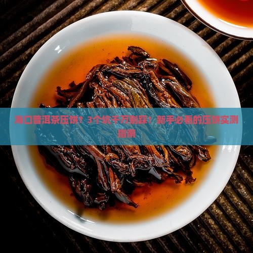 海口普洱茶压饼