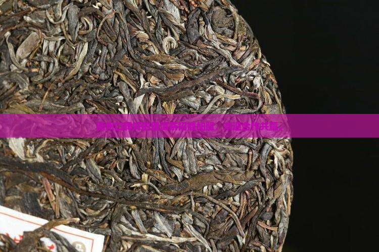 衢州口碑好的普洱茶招商