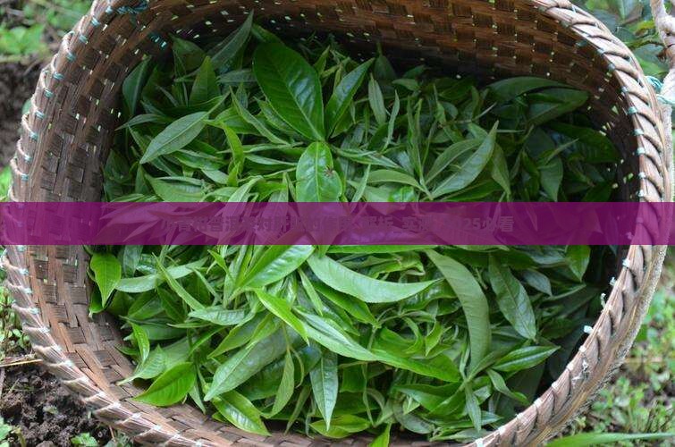 小青柑普洱茶对肝脏的作用