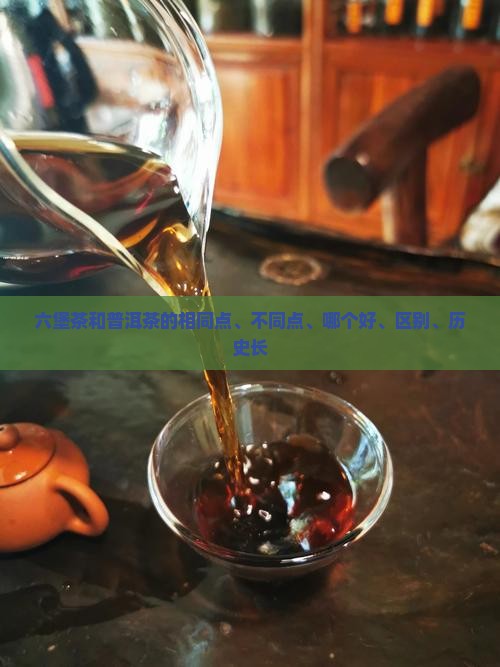 六堡茶和普洱茶的相同点