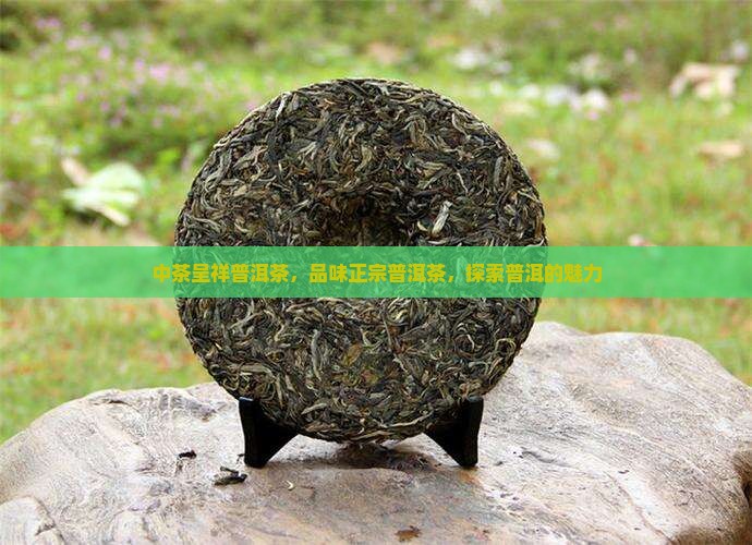 中茶呈祥普洱茶