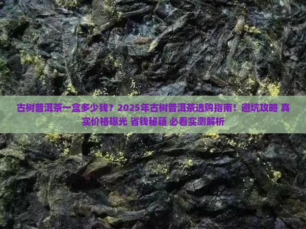 古树普洱茶一盒多少钱