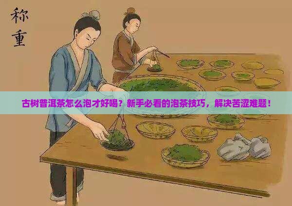 古树普洱茶怎么泡好喝
