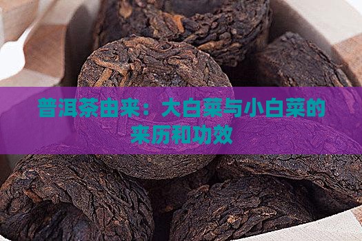 小白菜普洱茶的来历和功效