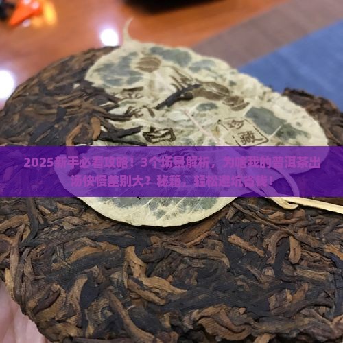 普洱茶出茶快慢