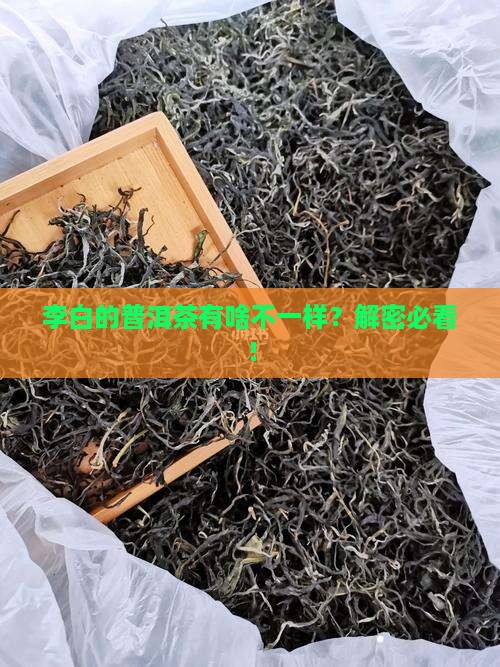李白的普洱茶有哪些特点