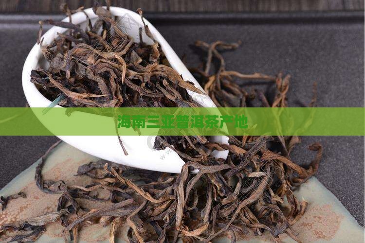 海南三亚普洱茶产地