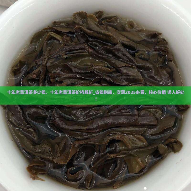 十年老普洱茶多少钱