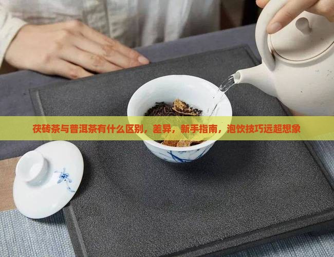 茯砖茶与普洱茶有什么区别