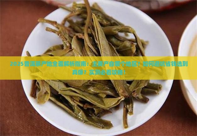 普洱茶主要产于哪个地区