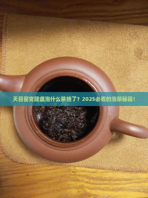 天目窑变建盏泡什么茶好喝