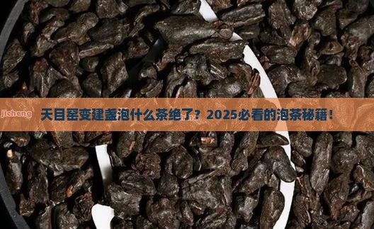 天目窑变建盏泡什么茶好喝