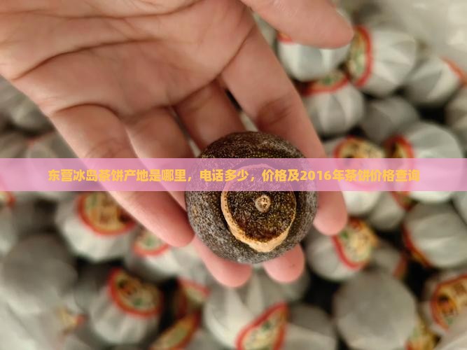东营冰岛茶饼产地