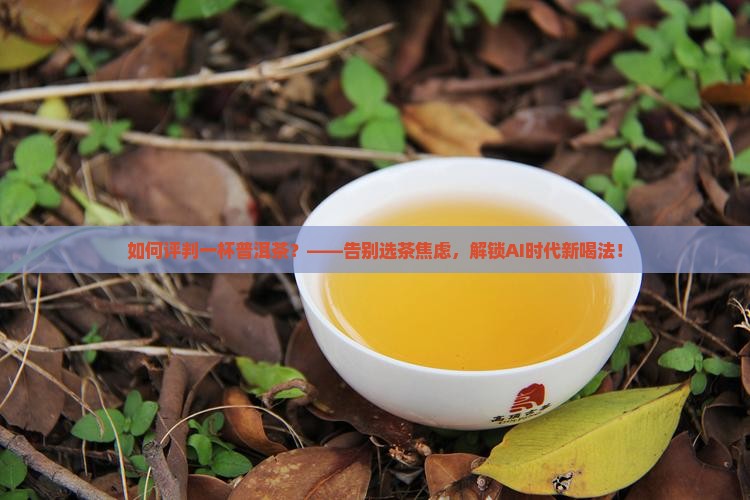 如何评判一杯普洱茶