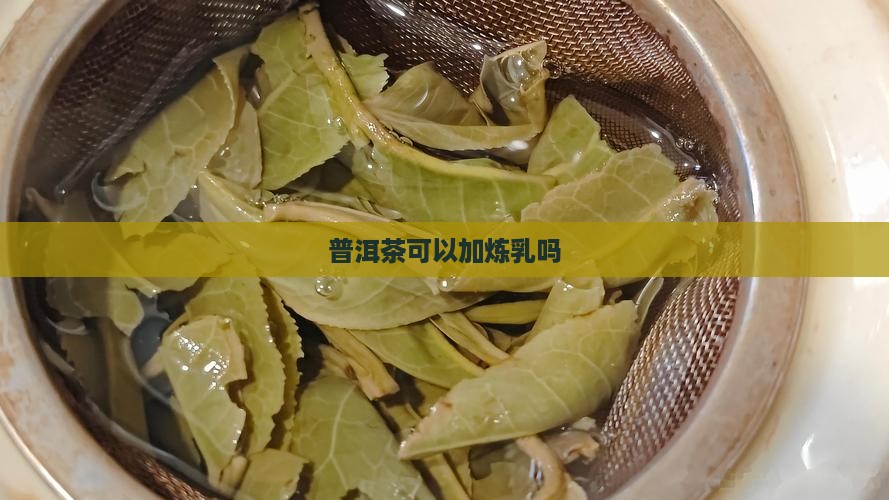普洱茶可以加炼乳吗