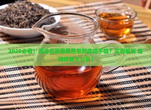 澜沧古茶春意熟茶值得吗