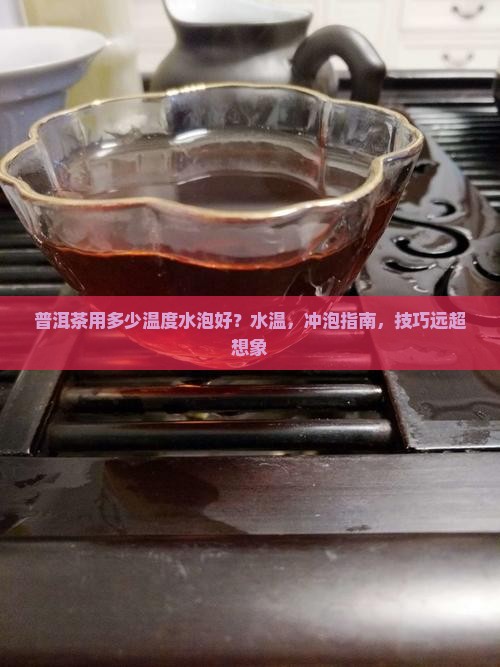 普洱茶用多少温度水泡好