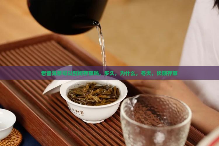 老普洱茶可以封闭存放吗