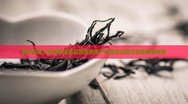 景谷邦海大白茶普洱茶