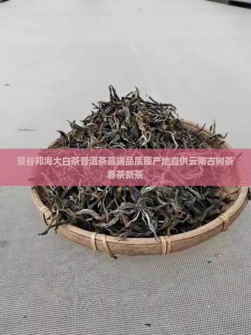 景谷邦海大白茶普洱茶