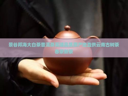 景谷邦海大白茶普洱茶