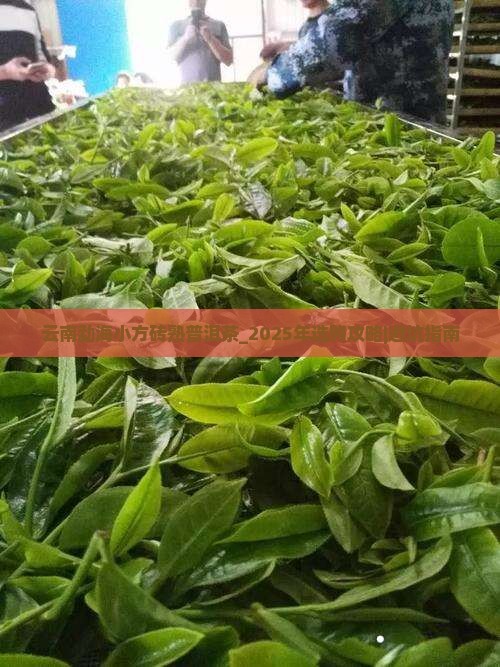 云南勐海小方砖熟普洱茶