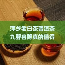 萍乡老白茶普洱茶九野谷隐