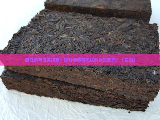 湛江知名熟普洱茶招商