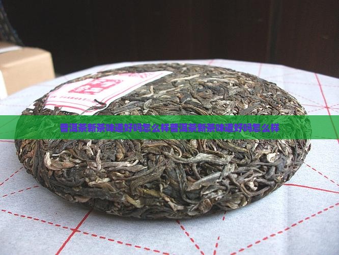 普洱茶新茶味道好吗怎么样