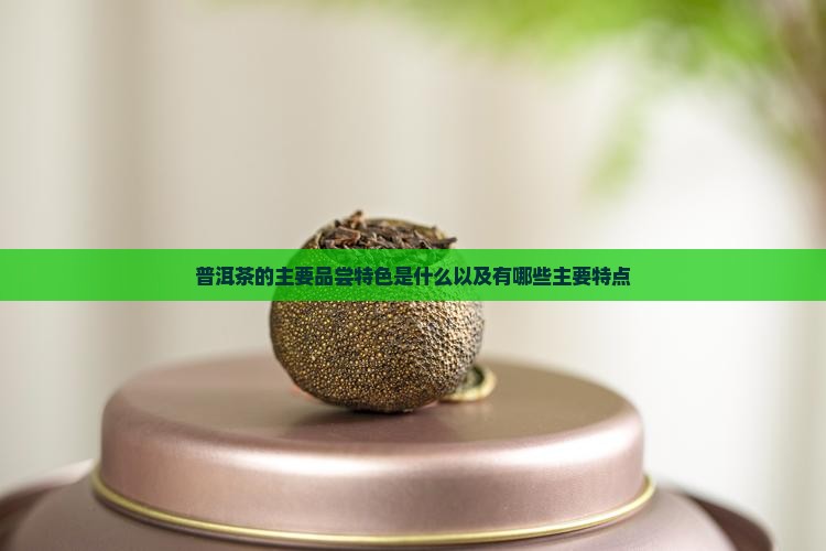 普洱茶的主要品尝特色