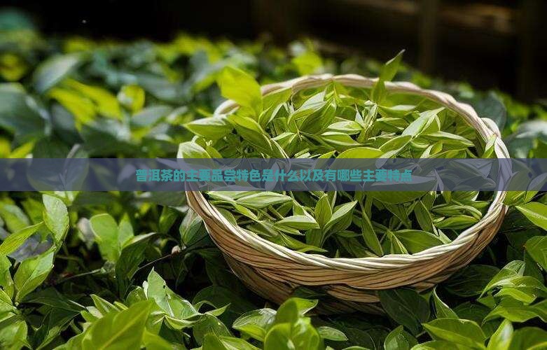 普洱茶的主要品尝特色