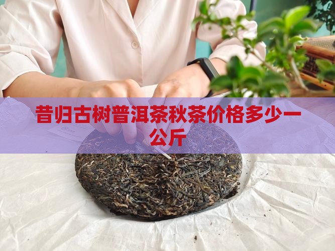 昔归秋茶多少钱一公斤