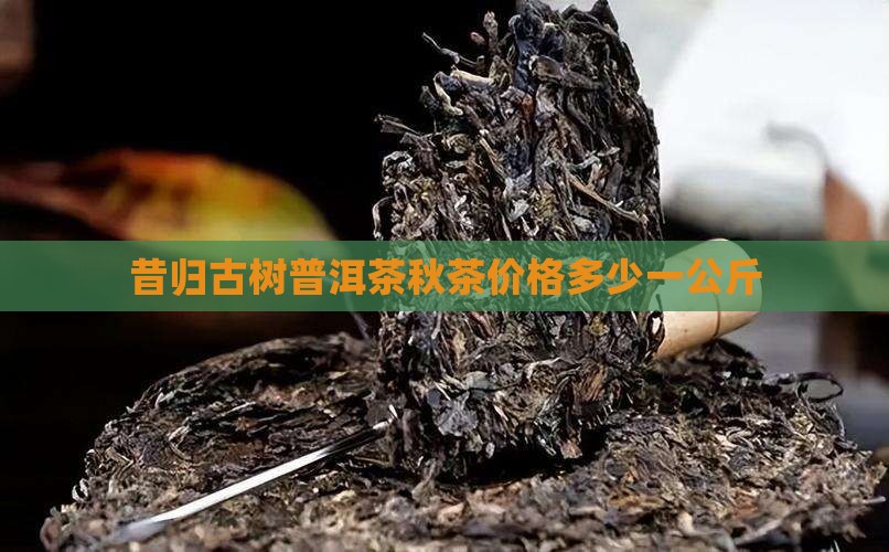 昔归秋茶多少钱一公斤