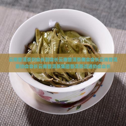 云南普洱茶刘会长