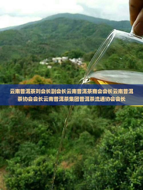 云南普洱茶刘会长