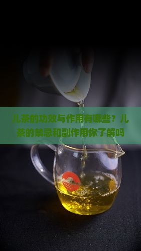 儿茶的功效与作用禁忌