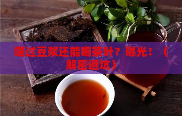 喝过豆浆能喝茶叶吗