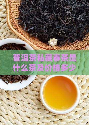 普洱茶私藏春茶