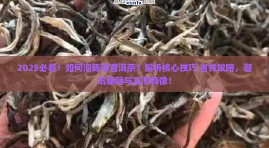 如何泡陈年普洱茶